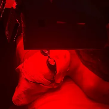 LED 光疗波长